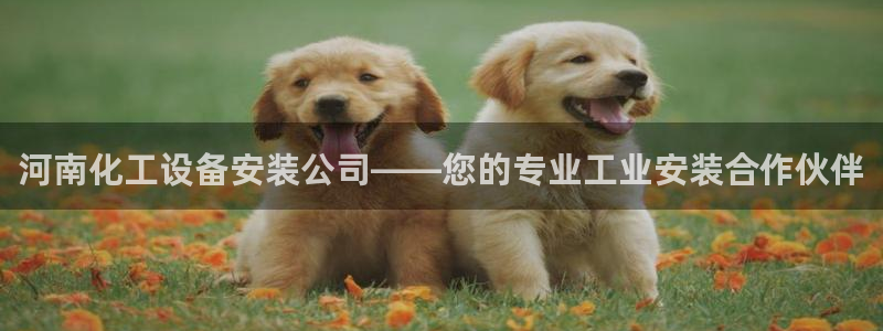 新城平台注册登录地址在哪