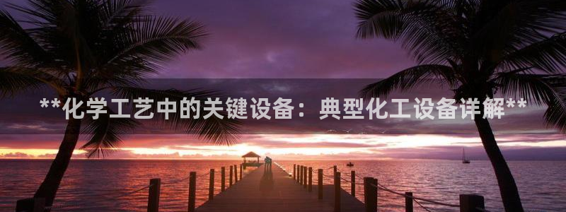 新城平台代理注册流程