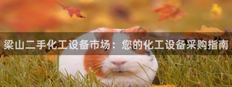 新城平台授权注册