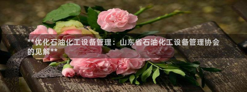新城平台注册网址查询