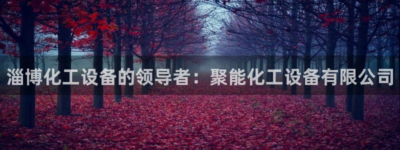 新城平台登录入口官网下载手机版