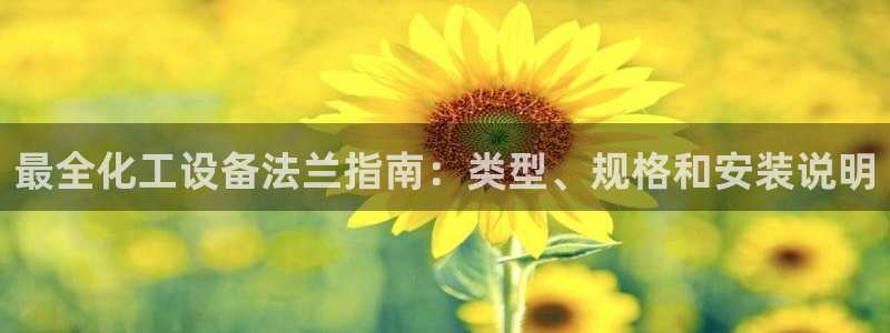 新城平台注册公司流程图
