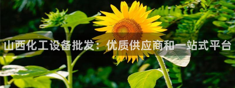 新城平台终7O777