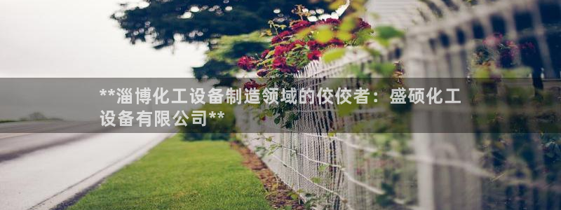 新城平台注册资金多少钱