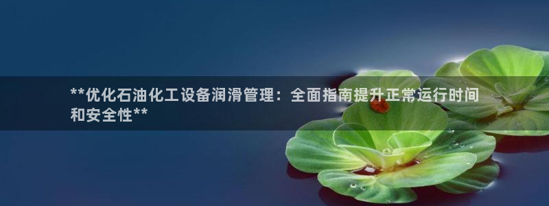 新城平台注册网址