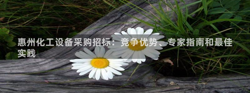 新城平台代理电话