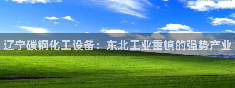 新城平台官网注册入口