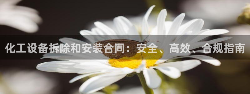 新城平台登录入口官网首页查询
