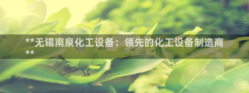 新城平台是干嘛的公司啊