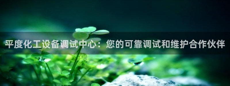 新城平台注册网址