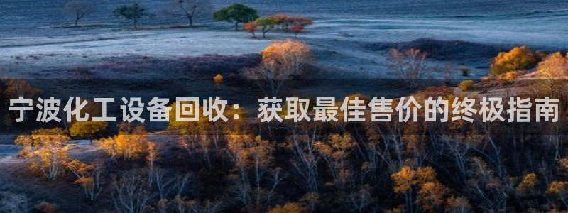新城平台注册网址是什么