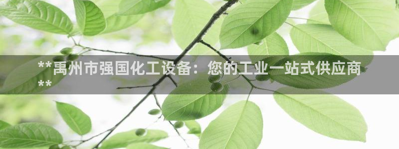新城平台官网首页网址