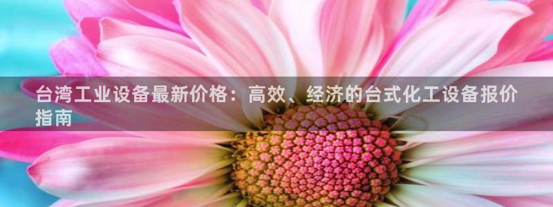 新城平台线路登录不上去怎么办呀