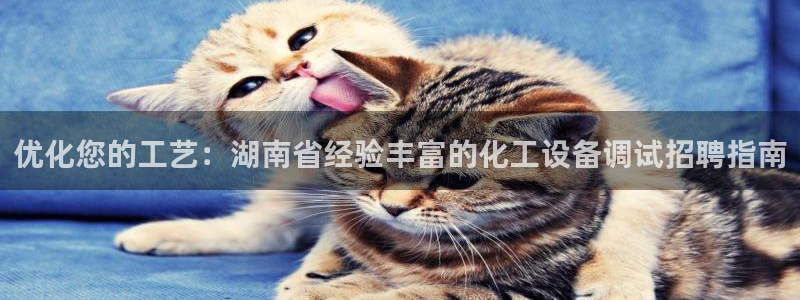 新城平台负责人电话