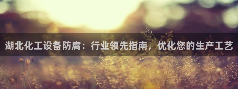 新城平台企业信息查询