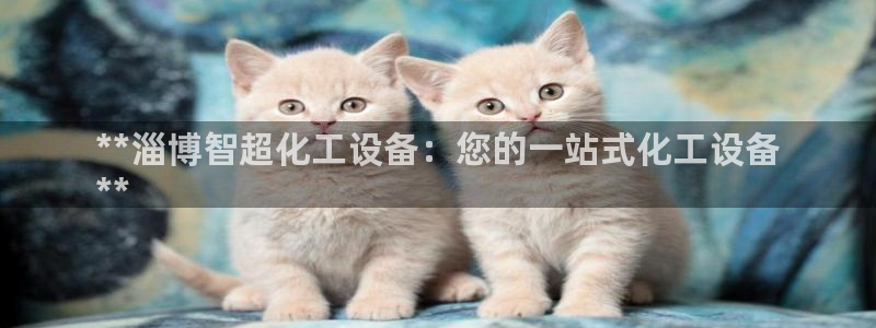 新城平台线路登录不上去了怎么回事