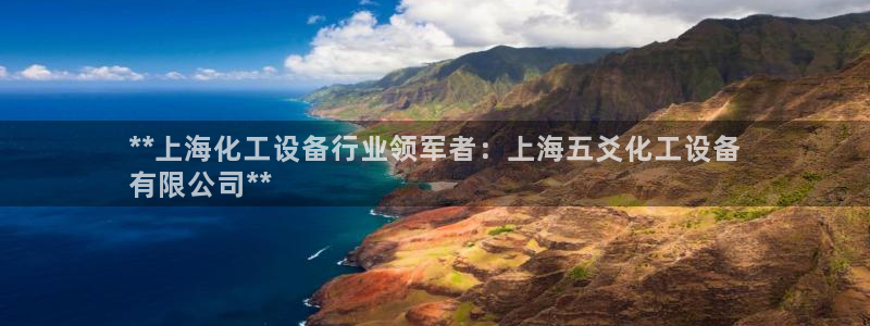 新城平台官网