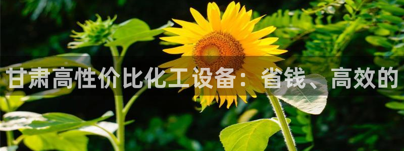 新城平台线路登录不上去怎么回事儿