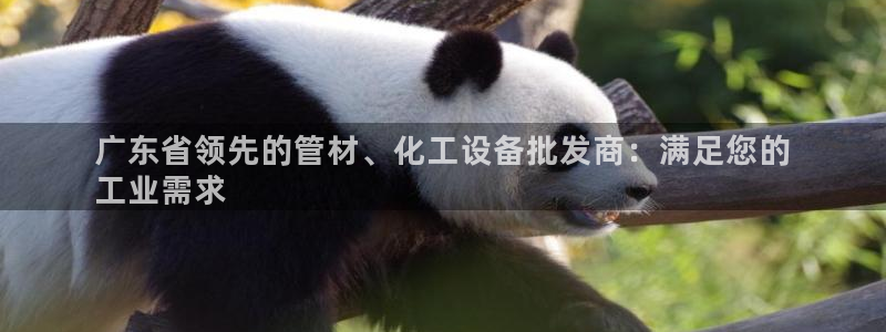 新城平台总代理是谁