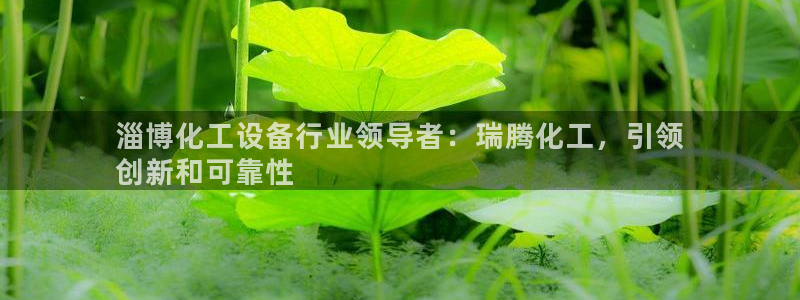 新城平台注册资金多少合适