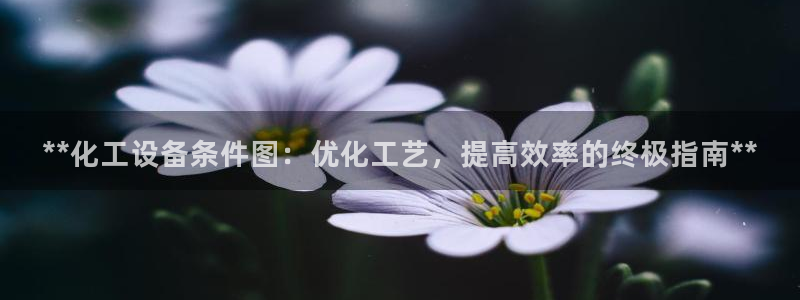 新城平台代理