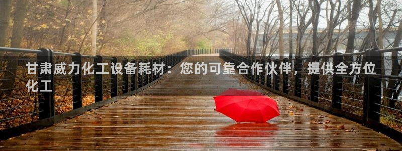 新城平台线路登录