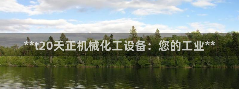 新城平台线路登录不上去怎么回事儿