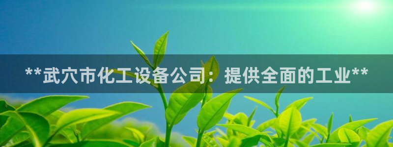 新城平台平台最新活动消息