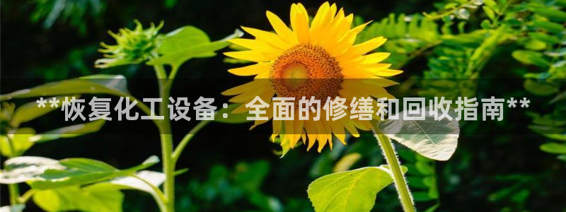 新城平台官网注册账号