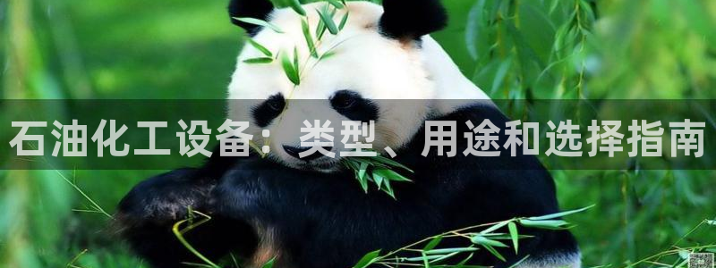 新城平台注册网址查询