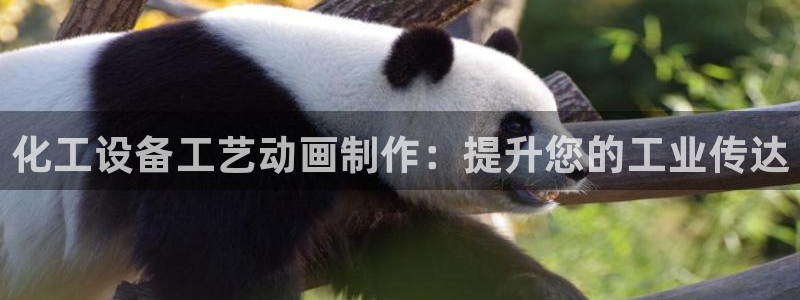 新城平台登录入口官网查询