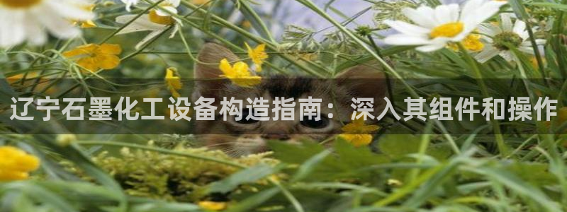 新城平台登录密码忘了怎么找回