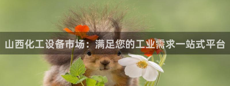新城平台代理注册条件