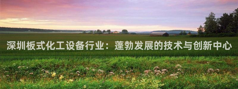 新城平台注册公司流程视频