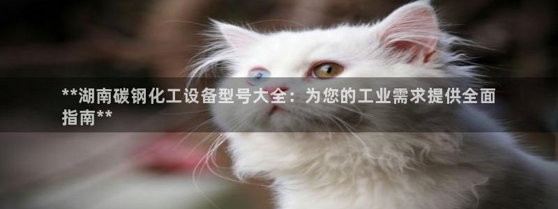 新城平台主管