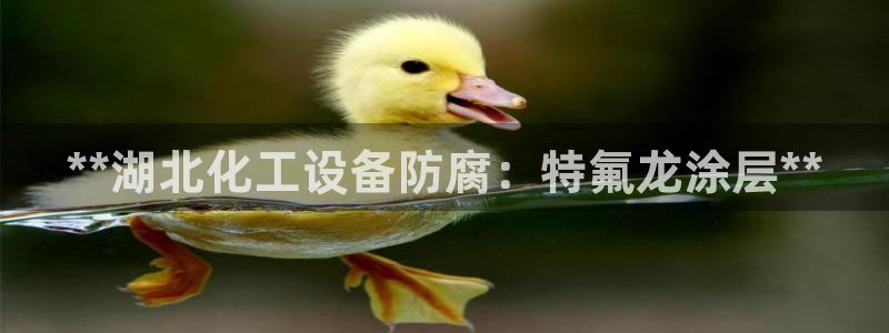 新城平台平台最新活动