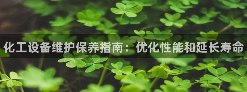 新城平台总代理是谁
