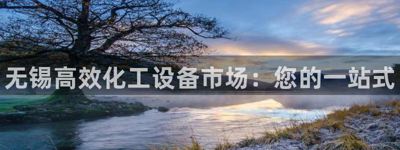 新城平台登录密码忘了怎么办