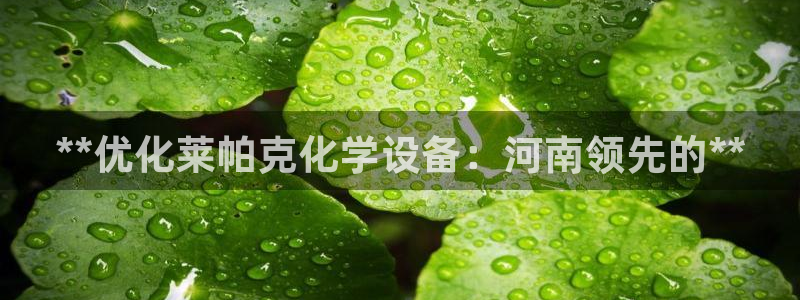 新城平台注册公司流程及费用