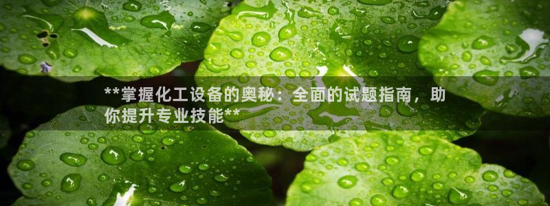 新城平台代理怎么样