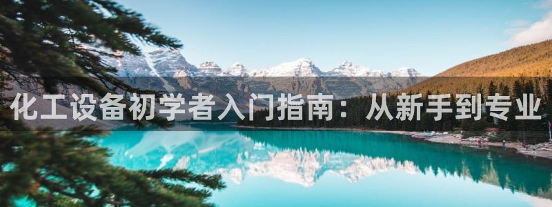 新城平台登录密码忘了怎么改