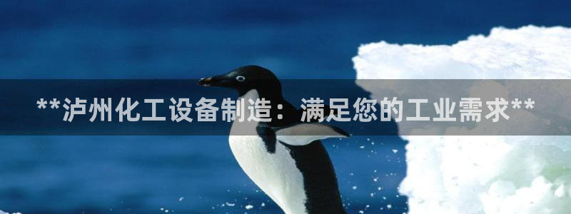 新城平台线路登录不上去