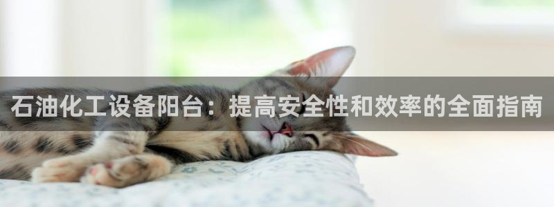 新城平台注册流程及费用