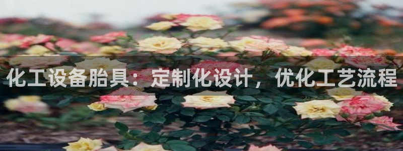 新城平台官网