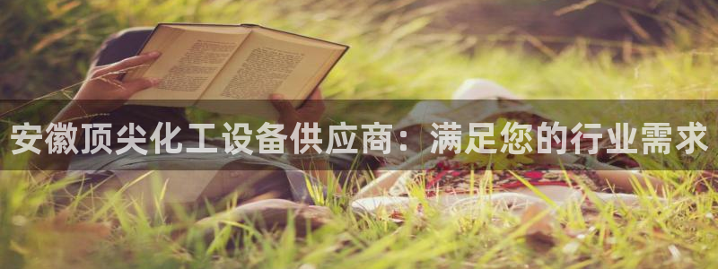 新城平台登录入口官网首页查询