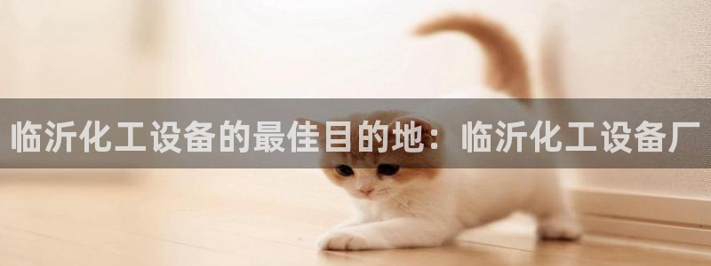 新城平台登录入口官网下载