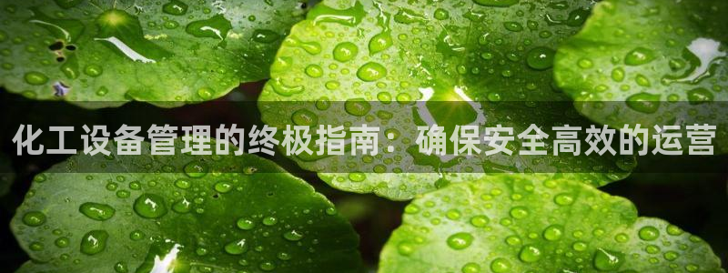 新城平台注册流程