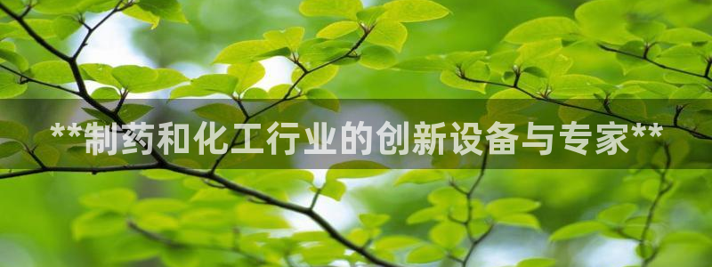 新城平台官网首页