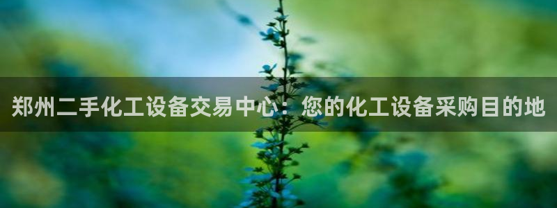 新城平台线路登录不上去怎么回事呀