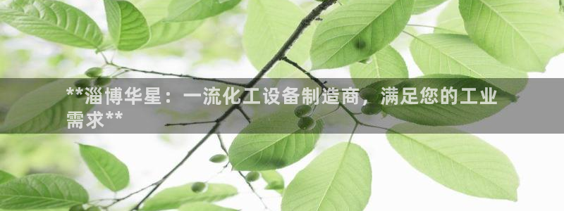 新城平台登录入口官网查询网址